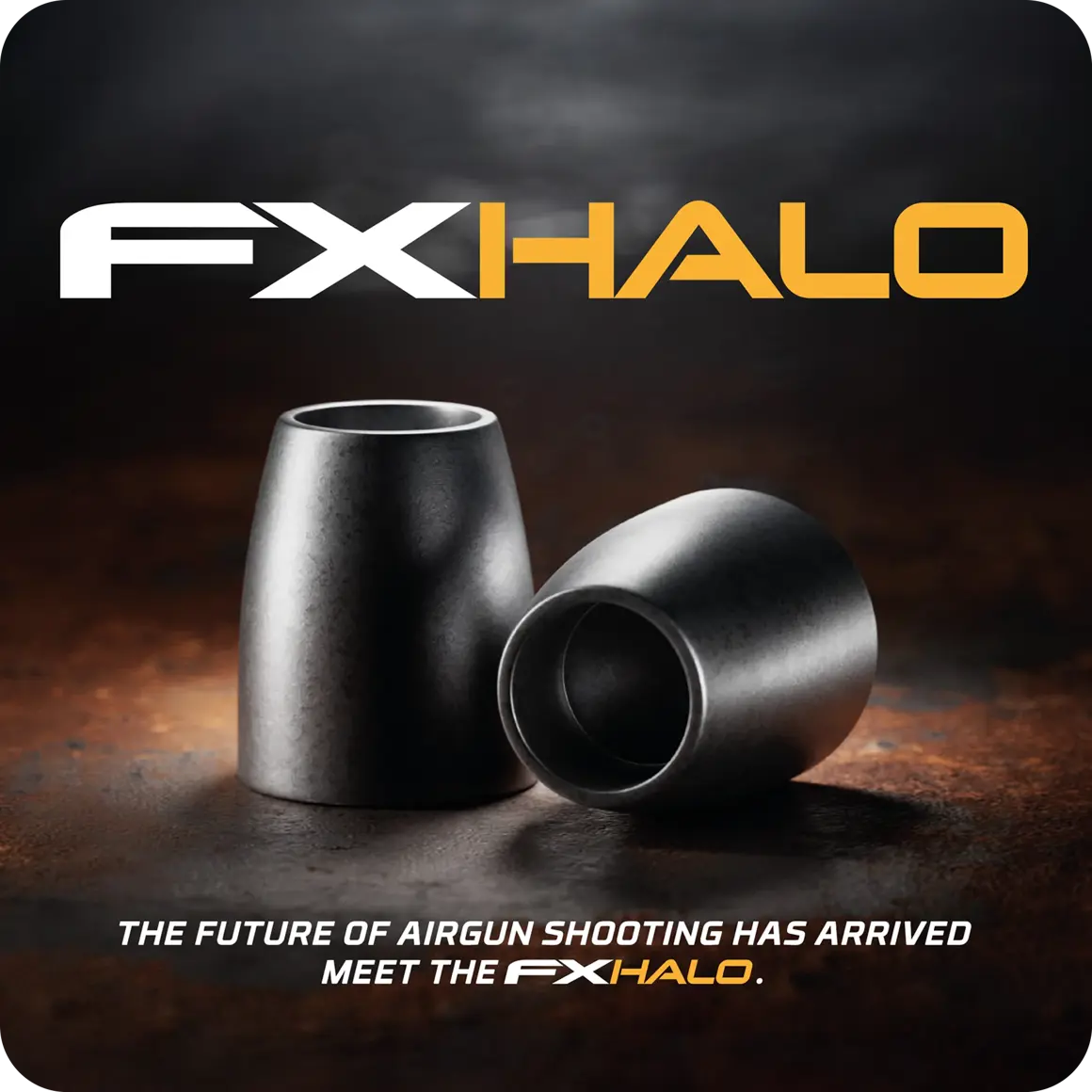 FX HALO Airgun Projectiles – High BC Expanding Hybrid Pellet 100ct.