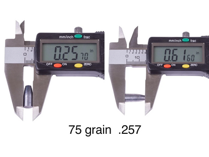 NSA Hollowpoint Slug .257 Cal - 75gr